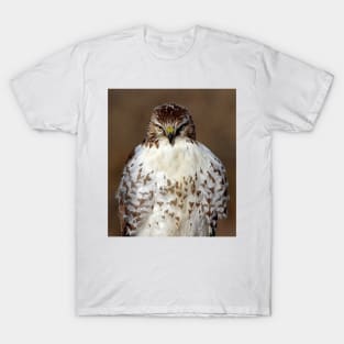 Red-tailed Hawk T-Shirt